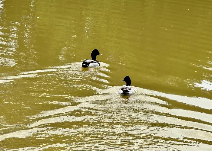 Apartment Le Rosie Au Bord Du Avec Jacuzzi Prouilly